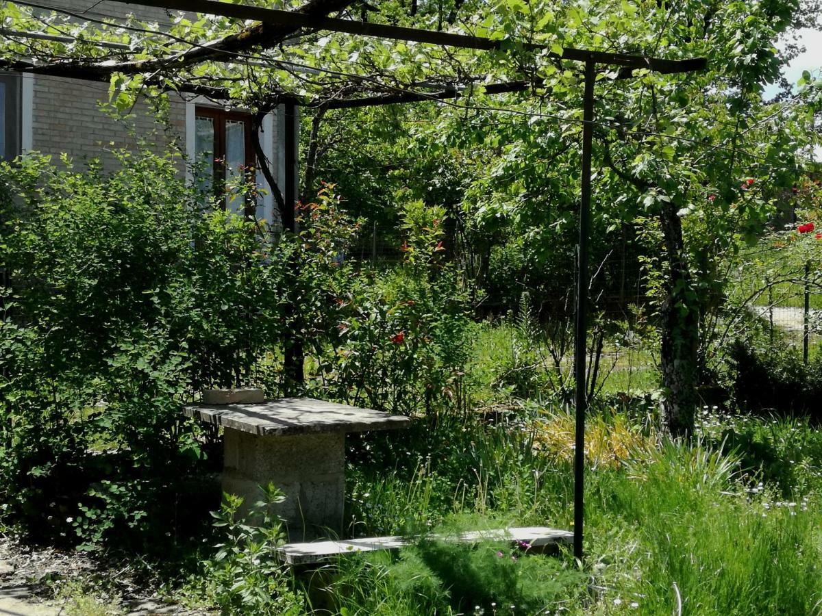 Casa Nel Verde Decollatura Ngoại thất bức ảnh